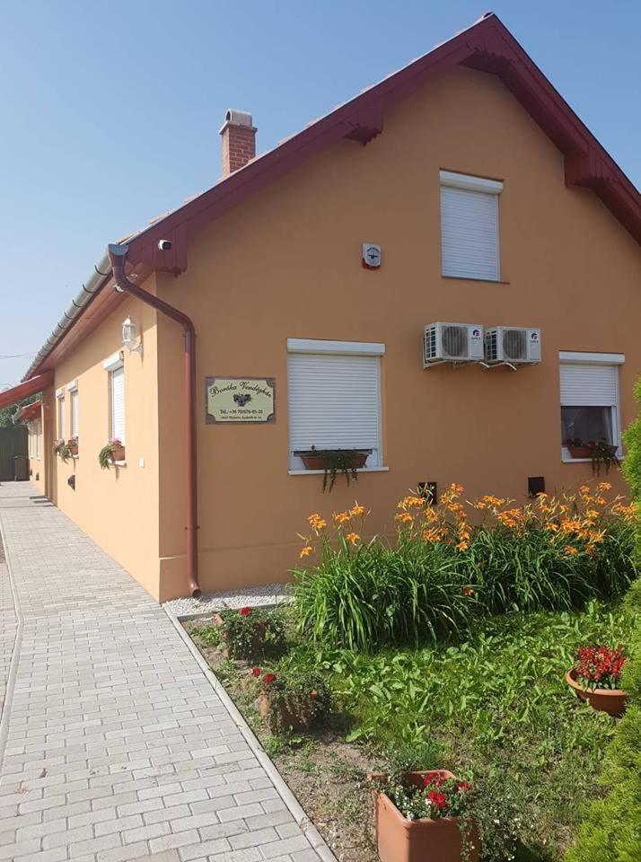 Boróka Vendégház Túrkeve Esterno foto